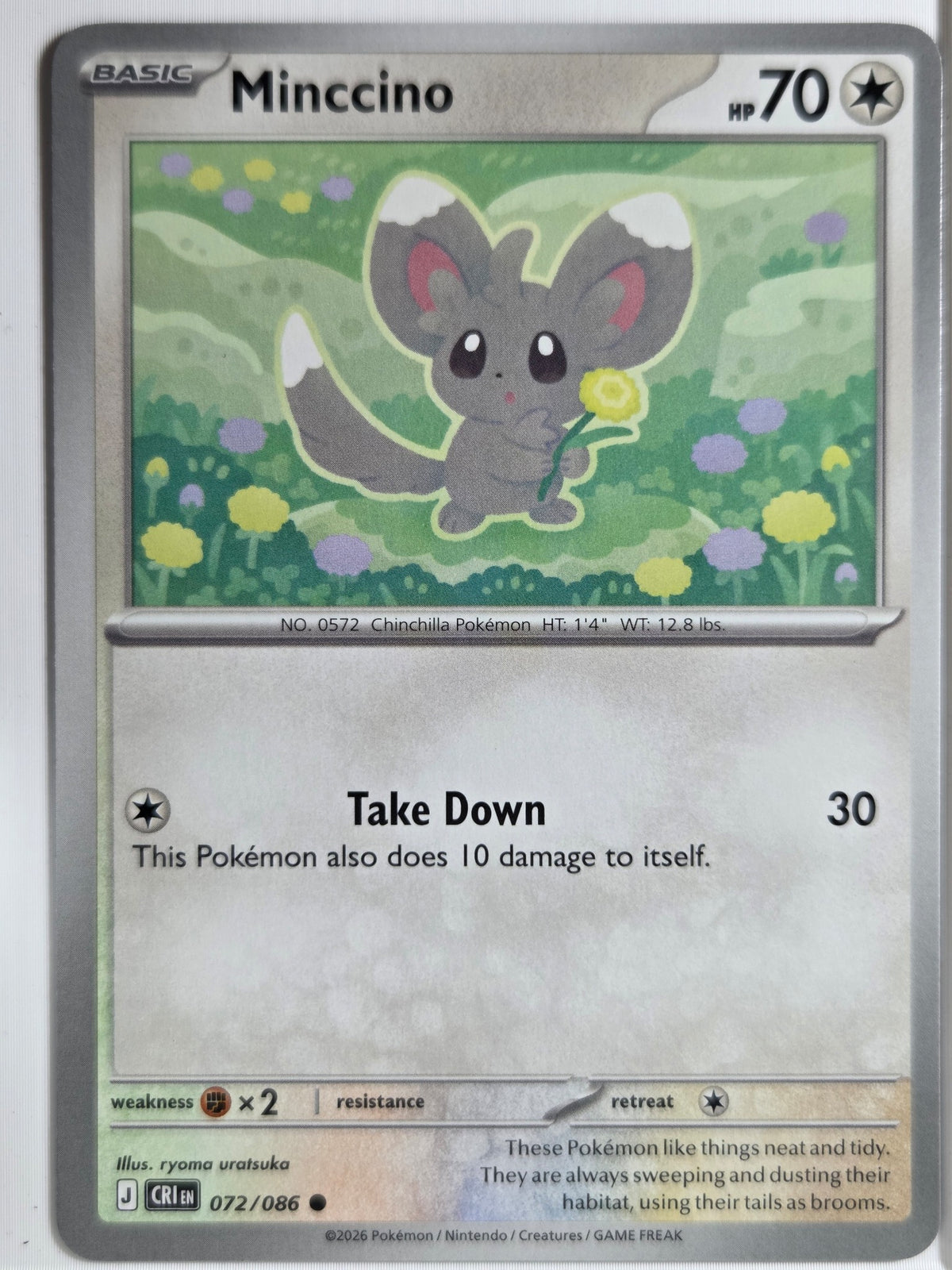 ME04: Chaos Rising Minccino #072/086 Near Mint or Better