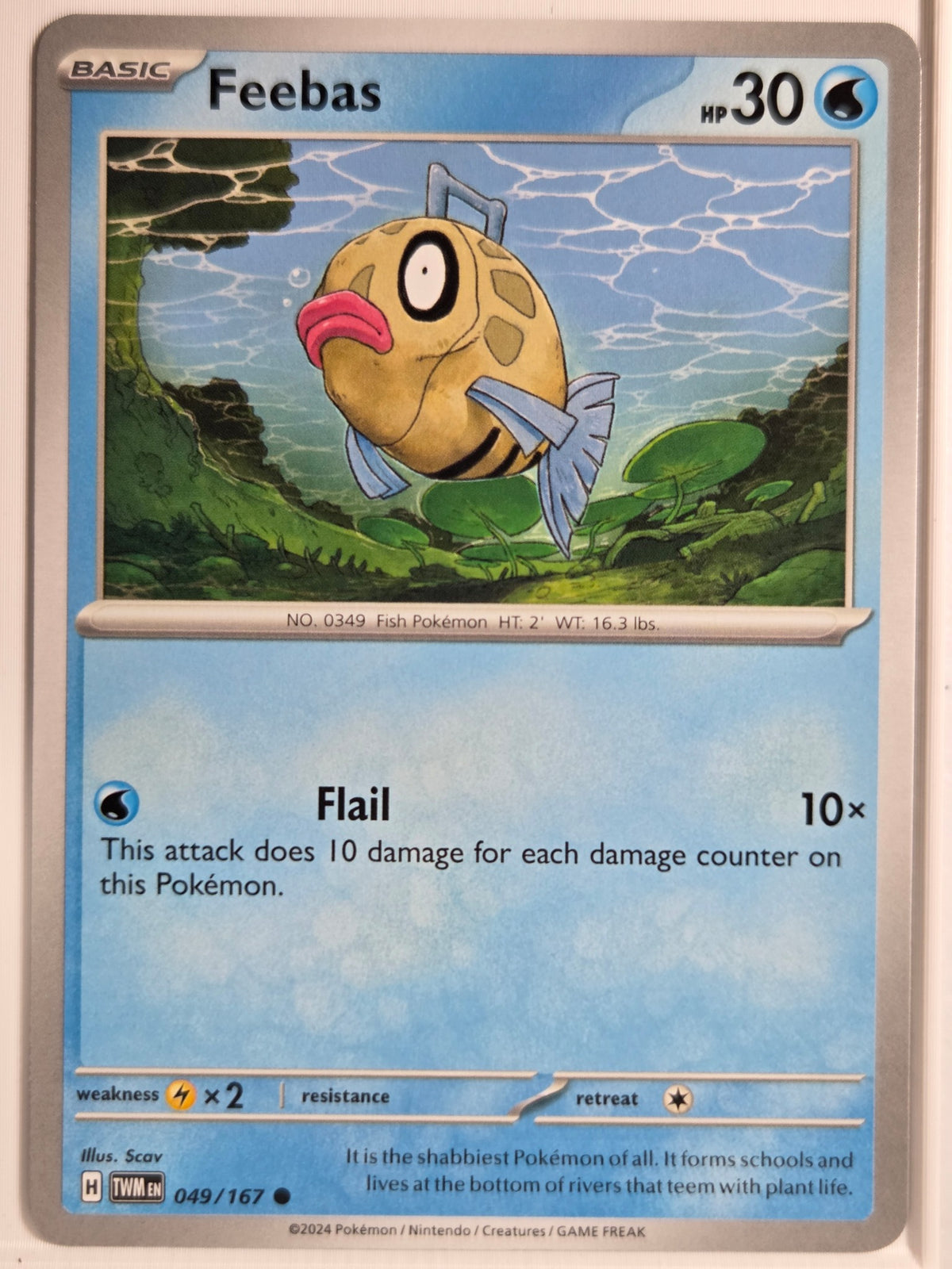 SV06: Twilight Masquerade Feebas #049/167 Near Mint or Better